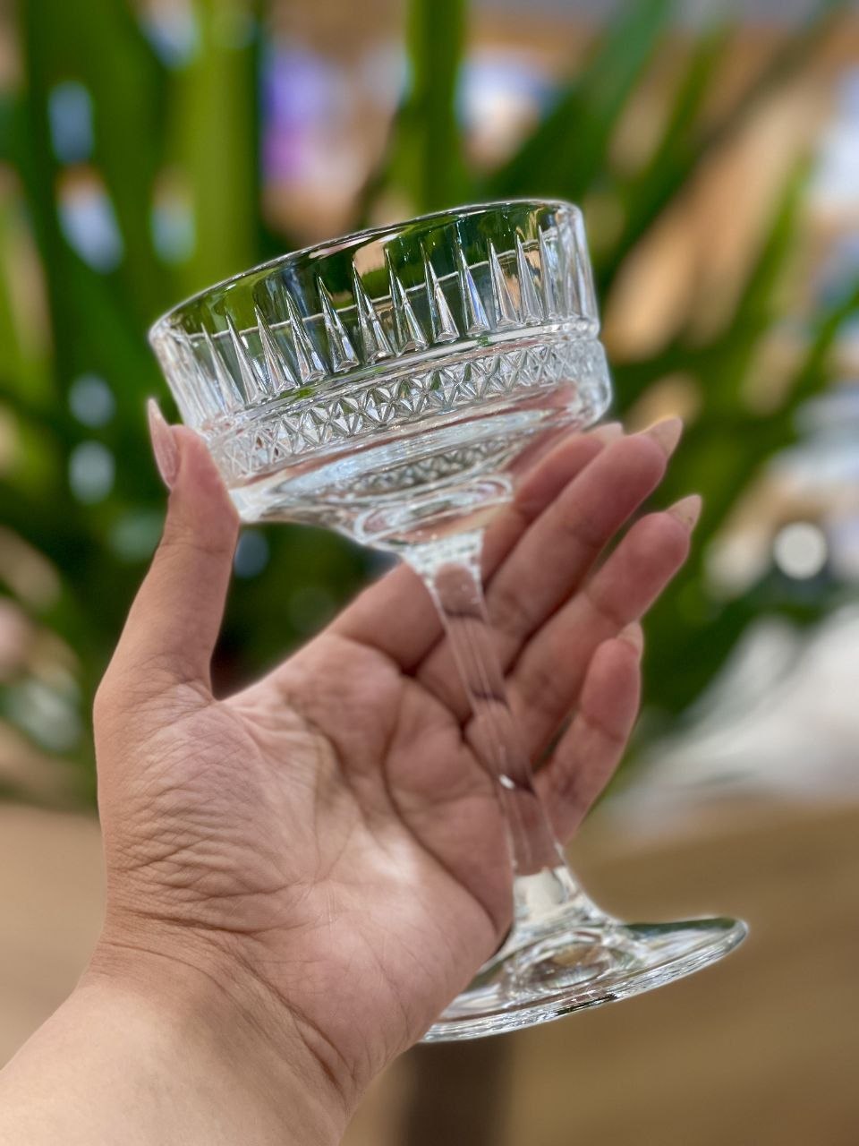 دسر و بستنی خوری دیواره کوتاه Reese محصول وارداتی Deli Glass